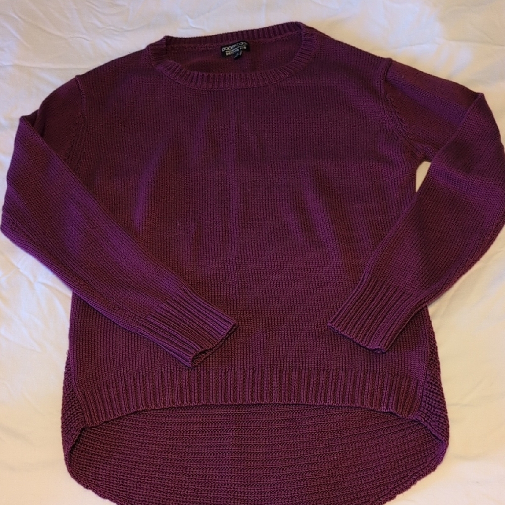 Papermoon Shurman Jewel Tone Purple Pullover Crew Neck Sweater